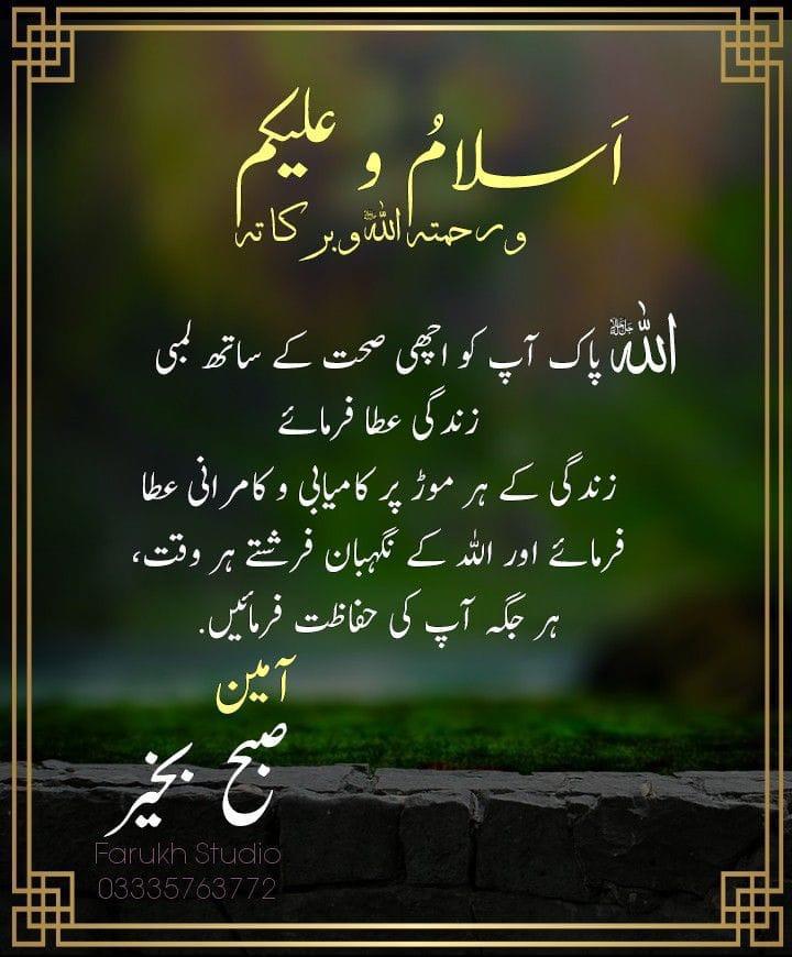 zobia_adv's tweet photo. @iqrarulhassan https://t.co/bVJwqPLUQB