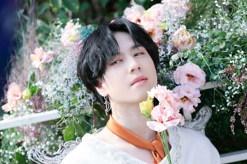 🌺