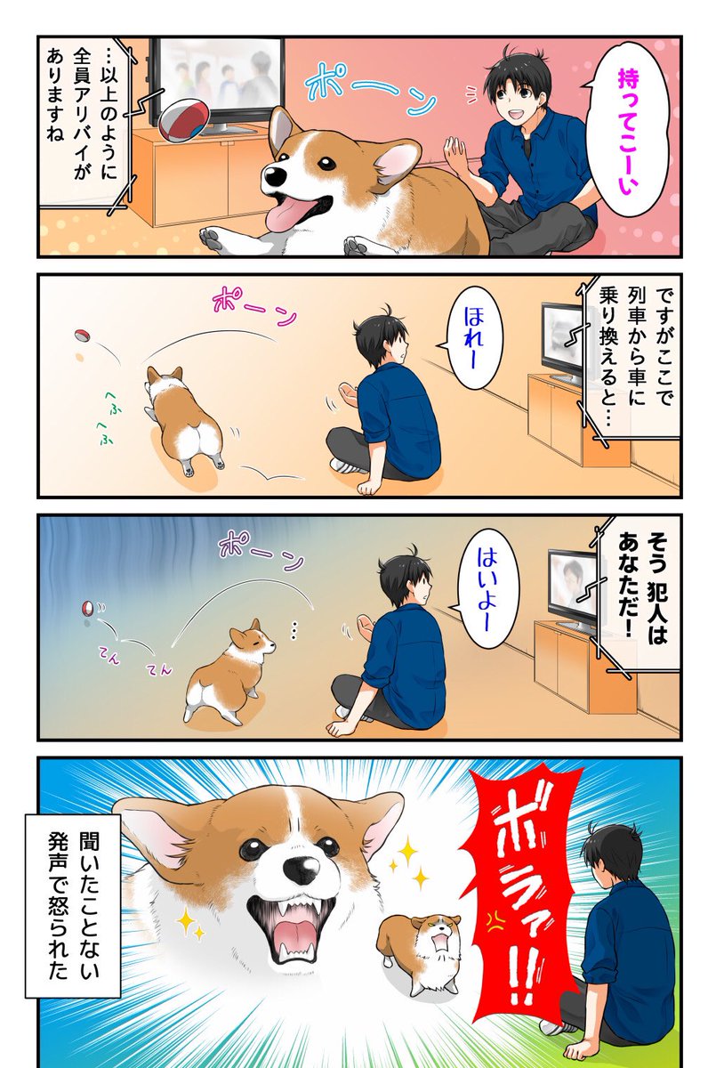 真面目に取り組むように要請する犬

ちなみに今日は #愛犬の日 