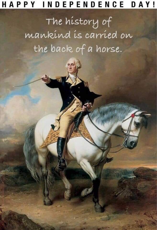 Anderhardt's tweet photo. @SunriseSunset7 @Freedom4Horses #TheHistoryOfMankindIsWrittenOnTheBackOfAHorse #DailyReminderThatWildHorsesShouldBeRunningFree #ReinInBLM #StopTheRoundUps #AmericaCapturesShipsAndKillsWildHorsesAndIcare #BanHorseSlaughter #HorsesAreNotAnIngredient #IfYouDontStandUpForMustangsWhoWill #KeepThemWild #KeepItPublic https://t.co/mdLQ01Qjza