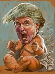 SpartanBrawler's tweet photo. @thehill Toddler in Chief. 

Who's is more foolish, the fool or the fools that follow him? https://t.co/CoAqE53mdZ