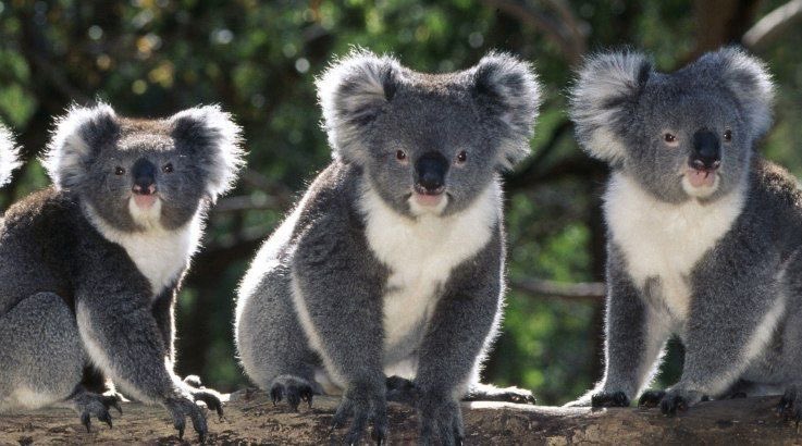 Monday, May 11th, 2020