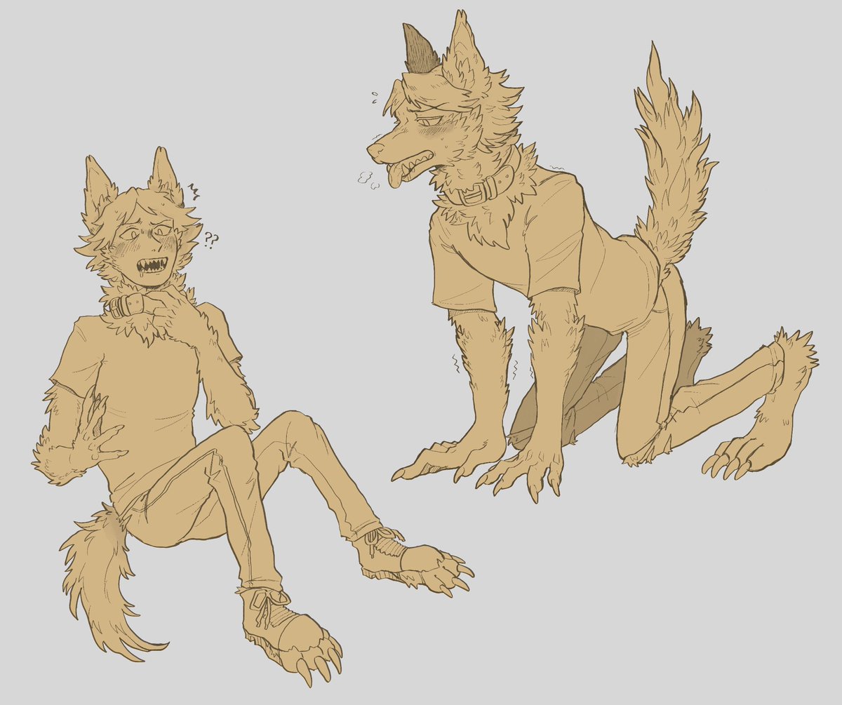 mantisbody's tweet photo. cute pooch 🐶 #TFTuesday https://t.co/xT7soSCArZ