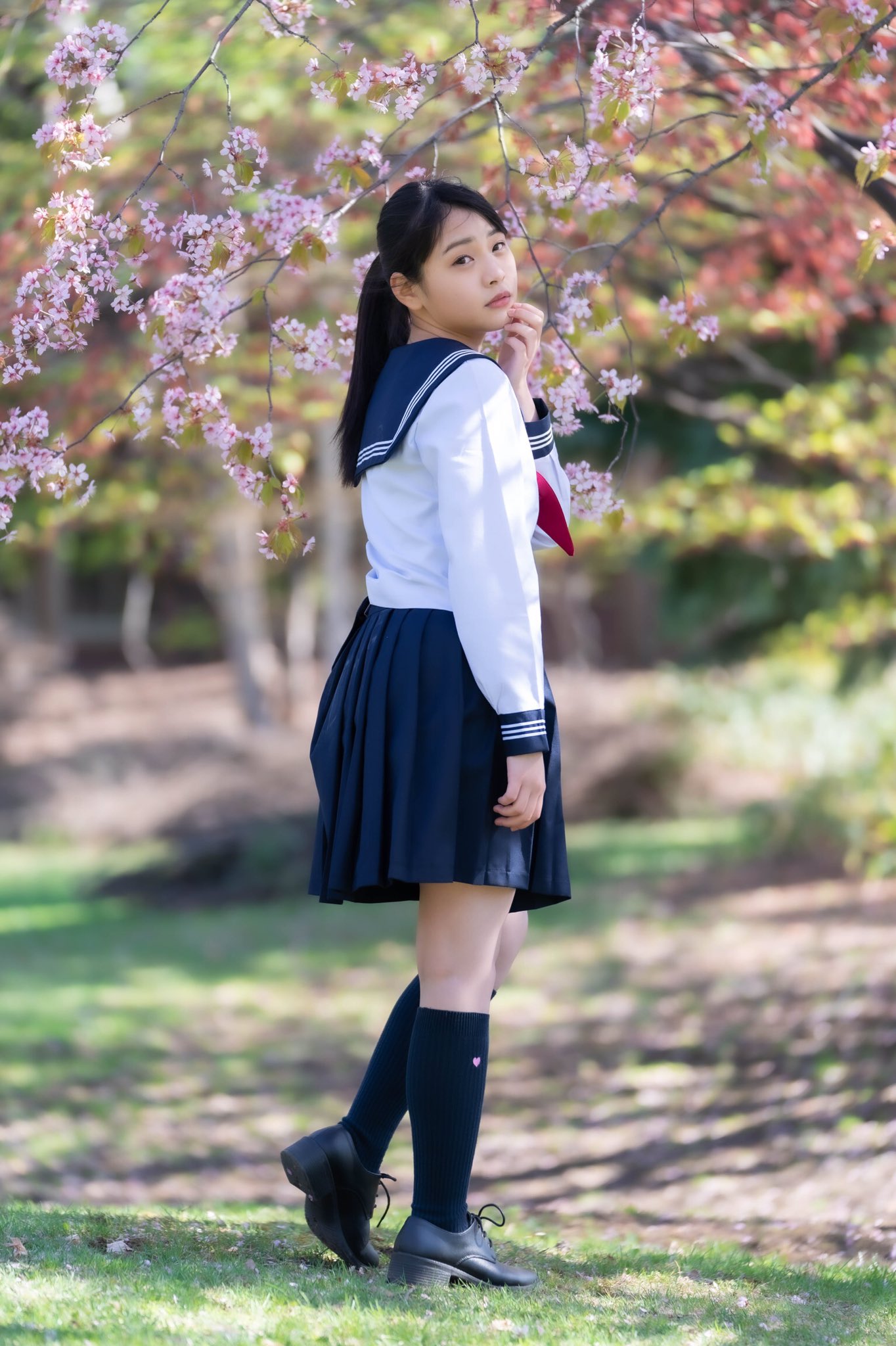 セーラー服 ねこうさぎさん専用 楽天市場】うさぎ ウサギ（セーラー服｜学生服）：レディース