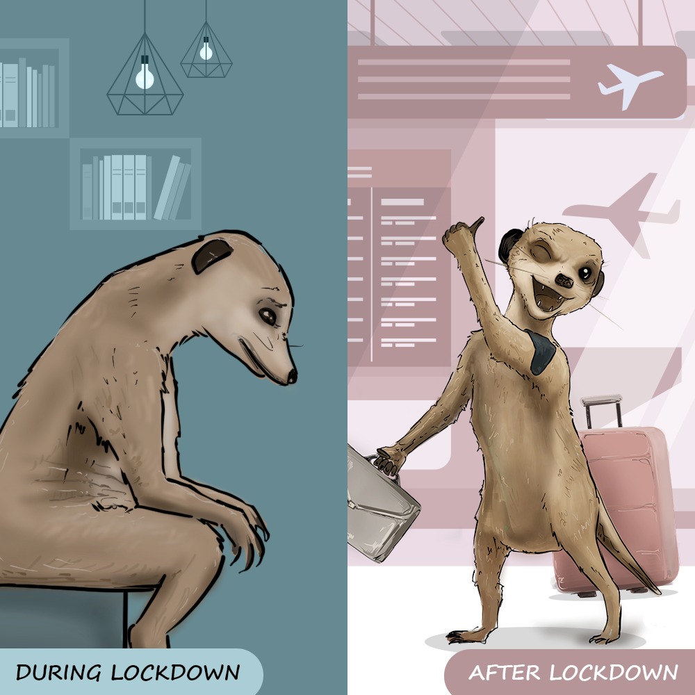 Meerkat_me's tweet photo. I’m all set to go on vacations after this lockdown! What about you? #QuarantineLife 😞🔜😎 https://t.co/AyJVkWuZkh