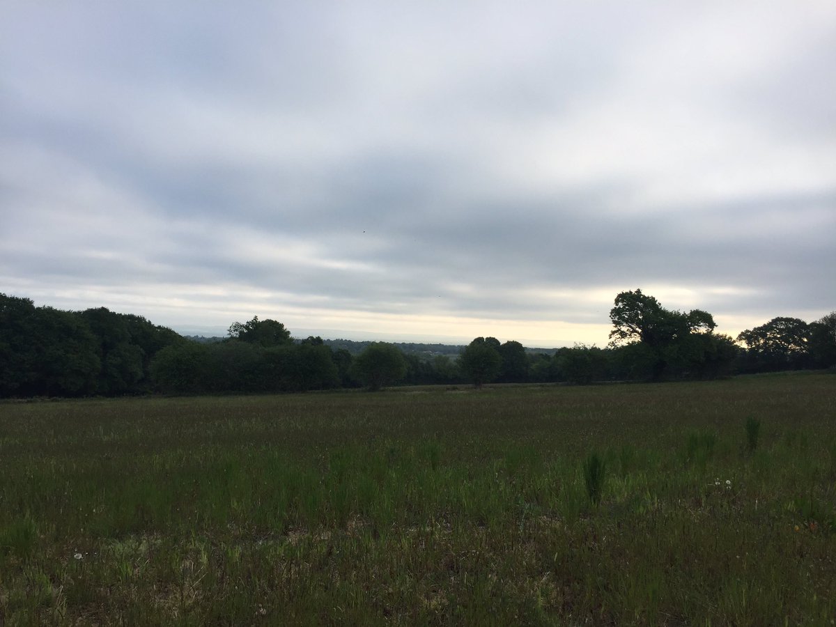 HowellsRebecca's tweet image. 06:30, highest spot on the Sussex Weald looking towards the North Downs
#getactivechallenge @sashnhs @SASHCharity @runreigate