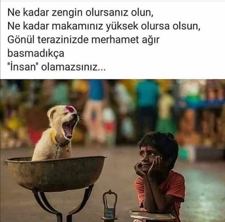 Barış tweet media