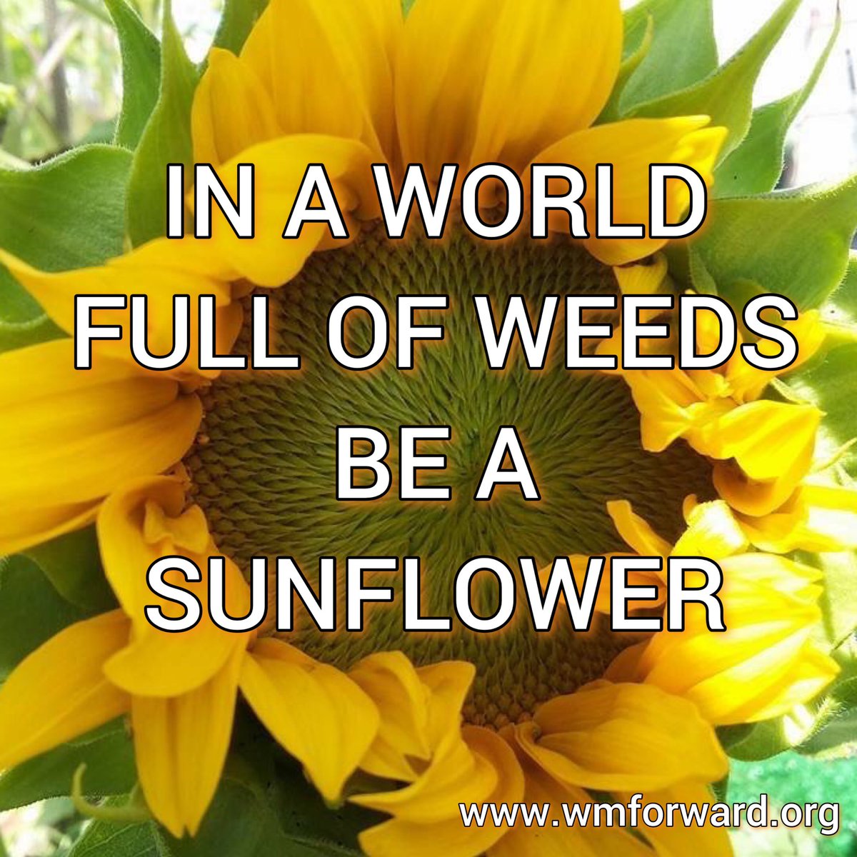 wm_FORWARD's tweet photo. #wmforward #weremovingforward #tbi #braininjury #abi #acquiredbraininjury #stroke #headinjury #headtrauma #concussion https://t.co/meS1jLPwOw