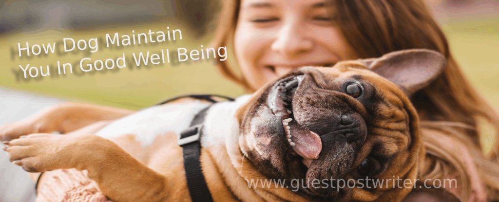 writerguestpost's tweet photo. How dog maintain you in good well being

Read more: https://t.co/MJInQ3qHiG

#dog #doglife #doggyhealth #guestpost #guestposting #guestblogpost #guestroom #guestpostwriter https://t.co/Ad5j30s5ct