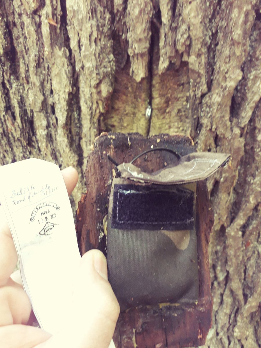 Les_Piratons's tweet photo. Finally!  After 2 months without cache 😍.  Be careful and take care of your loved ones.# Geocaching https://t.co/Dz5ZdH2m2l