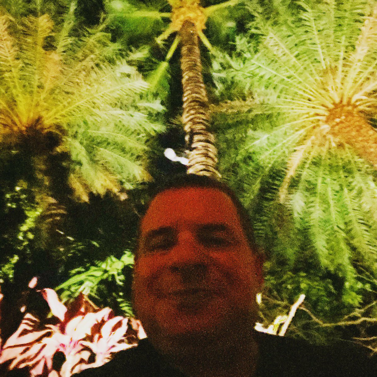 philswiftontv's tweet photo. What are you doin? I’m chillin, what about you? https://t.co/QfUDuZbRIX