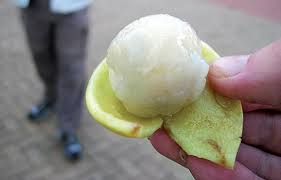 Ponta プリキャル実装 この果物ってもしかして マルーラかな 野生の動物たちも千鳥足になる禁断の果実 マルーラ 南アフリカで食されているウルシ科のフルーツ この果物は発酵するとアルコール成分が出るフルーツみたいです 酩酊状態 つまり酔っ払い