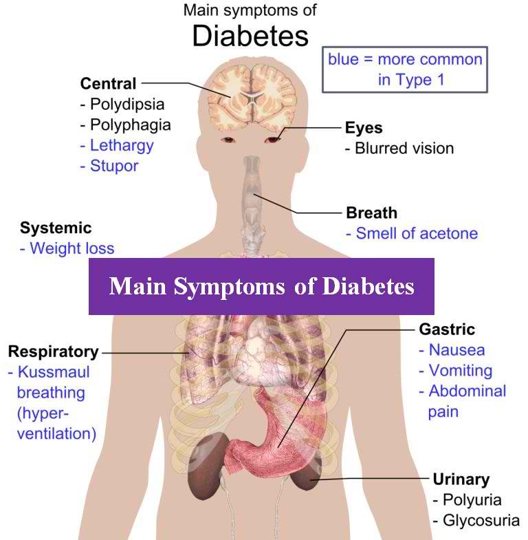 Hello peeps! 
Here are the symptoms of Diabetes from medicalestudy.com/main-symptoms-… 

#Type1Talks
#T1DPH
#Diabetes
#type1diabetes