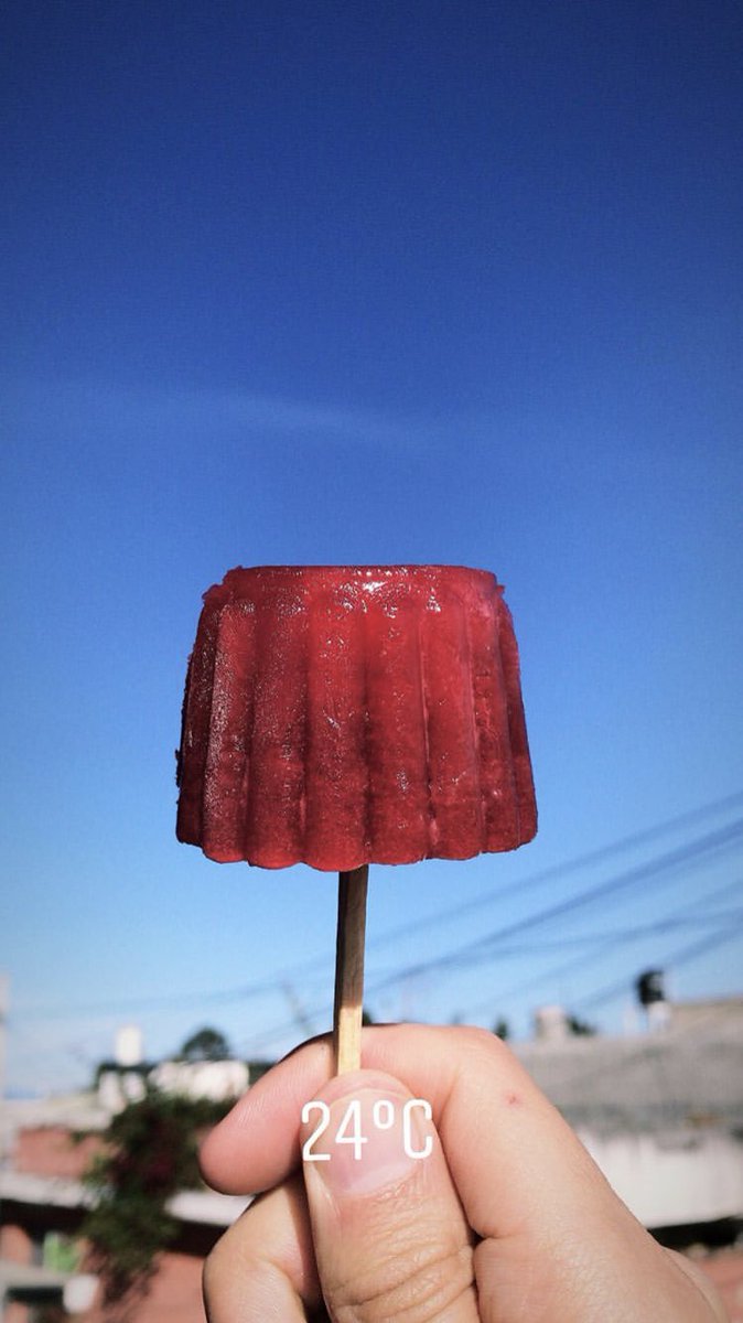and finally blackberry paletas my cousin makes and sells in the colonia. He keeps a tab open for the fam 