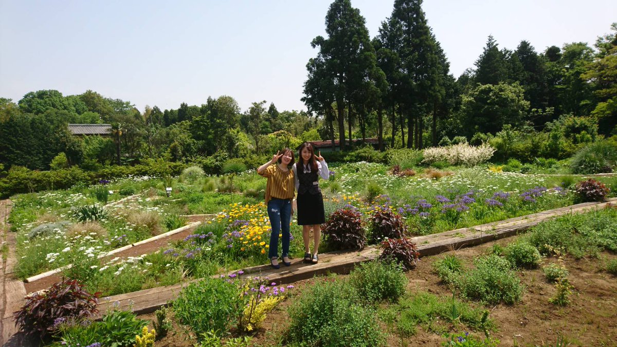 佐倉ハーブ園 薬用植物園 Sakura Herb En Twitter
