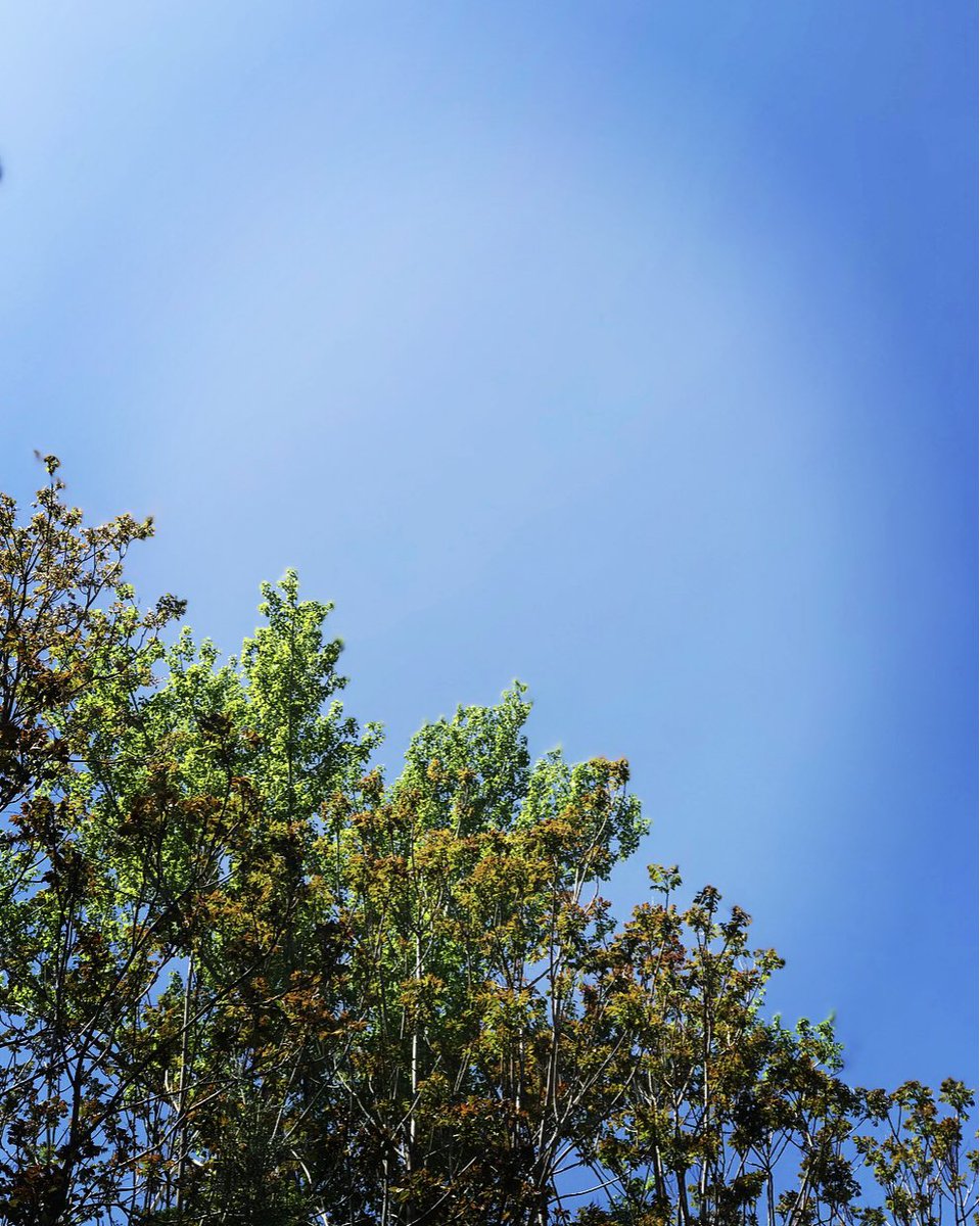 Ne güzel bir gün 🌕🐧🌱🌿