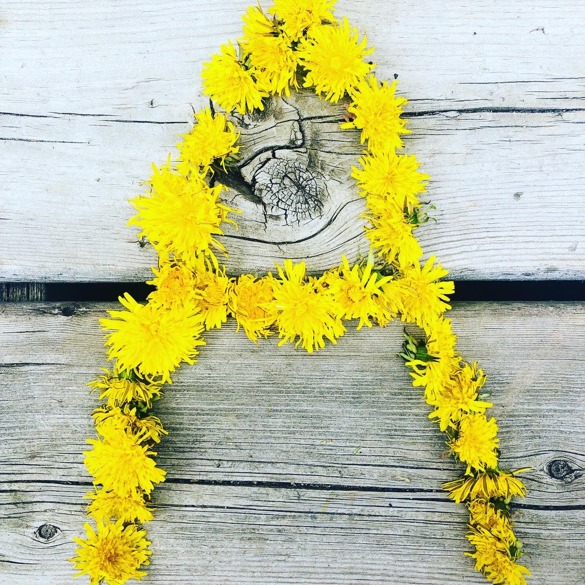 FDK_Lightning's tweet photo. Dandelion letters! Collect dandelions and explore letters, names, sight words. #lowkeyliteracy #notechliteracy #literacybehaviours #learningathome #dandelions #kindergarten https://t.co/lbK1PCTgoe
