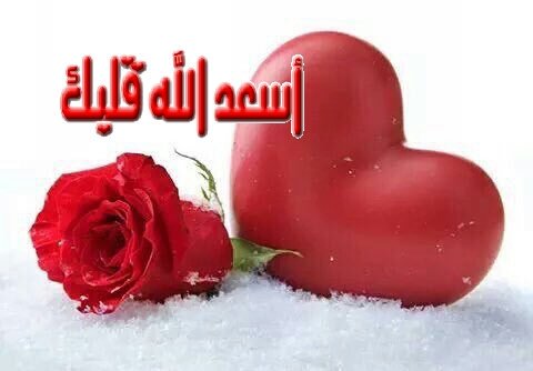 @hwauqA1br9OmAli قلبي بين يديكي لك وحدك
أنت عيني
صوتي
همسي
لمسي
أنت حناني نوبات جنوني
أنت ذاكرتي ضعفي قوتي
أنت الليالي الطويلة
أنت غرامي وهيامي
أنت درب الهوى
قصة الأمس وحكاية الغد
أنت الشروق والغروب والأمل المنشود
أنت هدوء بلا نهاية
أنت أنا ولا وجود لي إلا بوجودك أنت
إحترامي وتقديري أميرة الحرووف