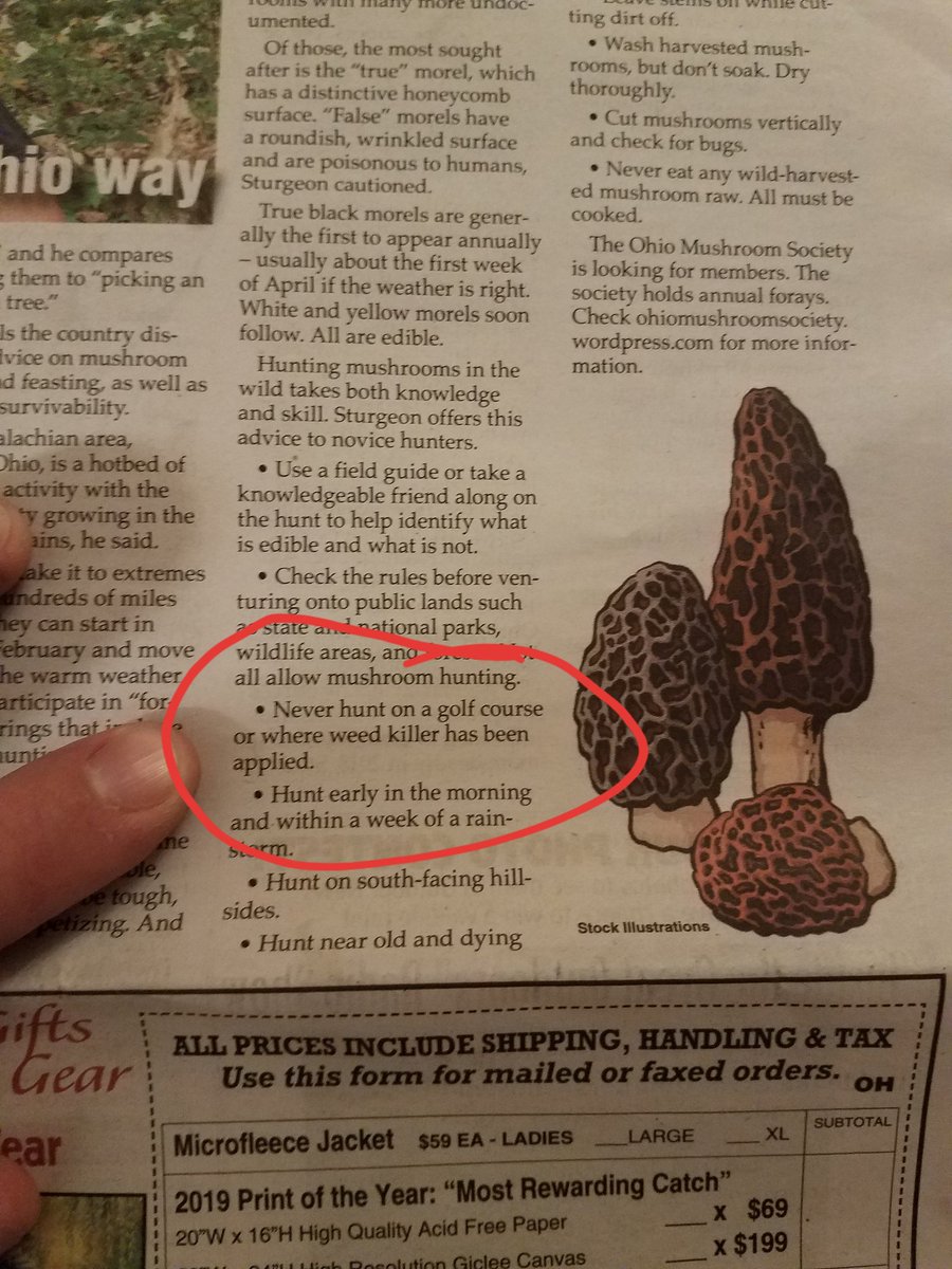 tkarch15's tweet image. The author tells you this because that's where the best ones are found