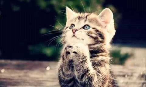 *صباح الخير✨🌹*
*لكل من استيقظ على أمل ان يكون اليوم جميلا،لكل اللذين اجادوا حب الحياة بمفردهم.*

*ـــــــــــــــــــ♡•°•🌟•°•♡ـــــــــــــــــــ*