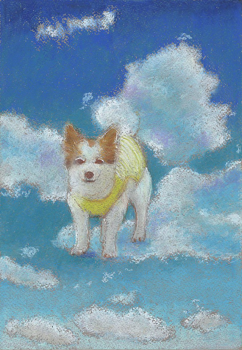 no humans animal focus dog animal bird blue background painting (medium)  illustration images