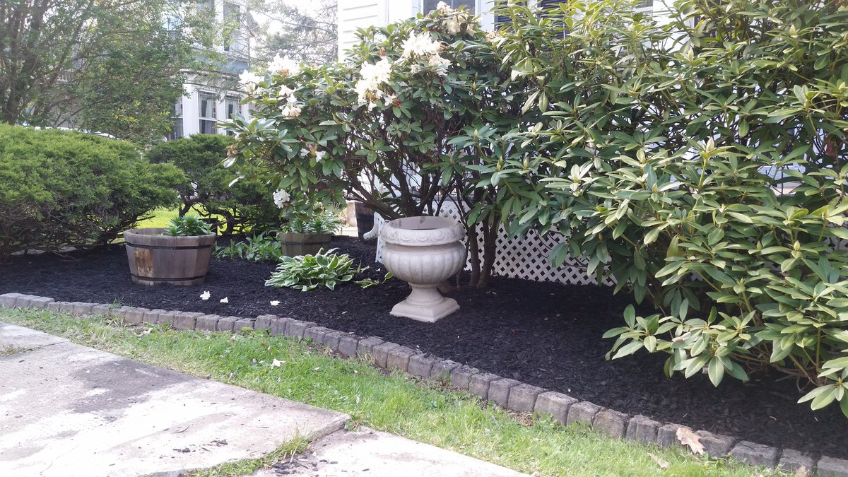 JonathanEvanow1's tweet photo. Nice black mulch install today! Call Jon at 908-442-9864 https://t.co/QBByTrnMlf