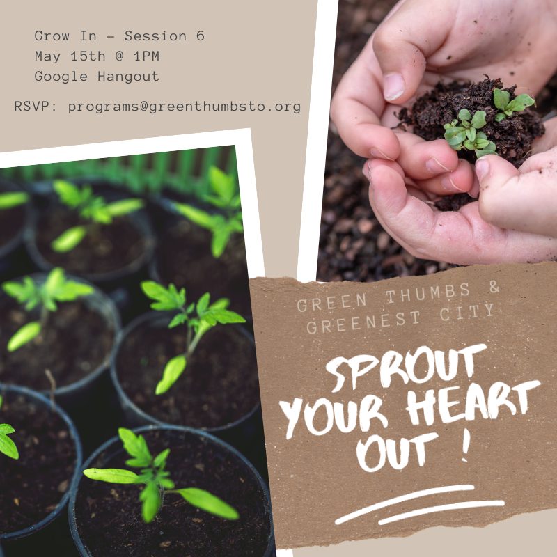 Green Thumbs tweet media