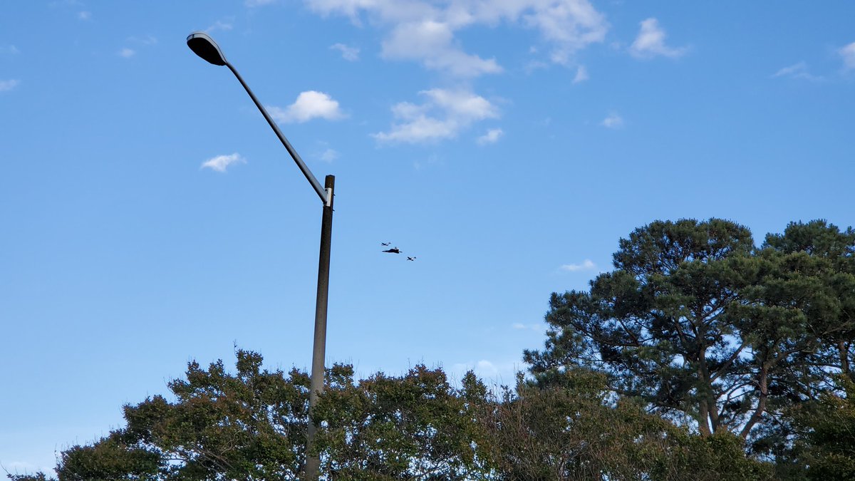 TheShannlee's tweet photo. #VAFlyBy got to see a pretty awesome flyover tonight F22 Raptor and two P-51 Mustangs π https://t.co/zX9QboBgQx