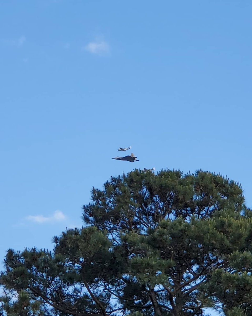 TheShannlee's tweet photo. #VAFlyBy got to see a pretty awesome flyover tonight F22 Raptor and two P-51 Mustangs π https://t.co/zX9QboBgQx
