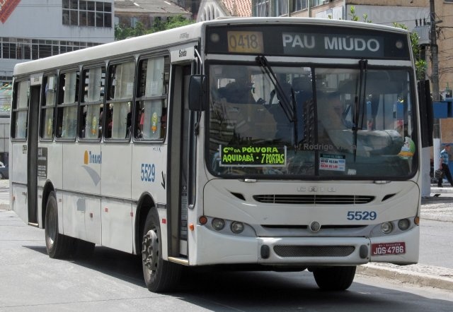 ricardosimel's tweet photo. vcs chocados q existem um lugar em magé chamam pau grande enquanto em salvador nós temos pau miúdo https://t.co/MC5pxsE79I