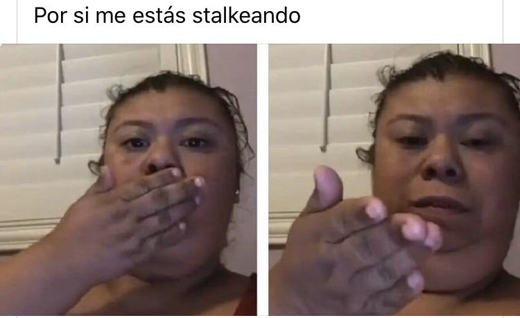 elnosersiendo tweet media