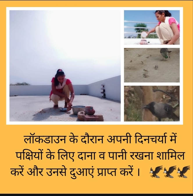 ManjuSh88817212's tweet photo. #HelpBirdsInSummers
संत डॉ @Gurmeetramrahim  सिंह जी इंसा फरमाते हैं कि अपनी दिनचर्या में पक्षियों के लिए दाना व  पानी रखना शामिल करें और उनसे दुआएं प्राप्त करें। https://t.co/Sn0uiSgn30