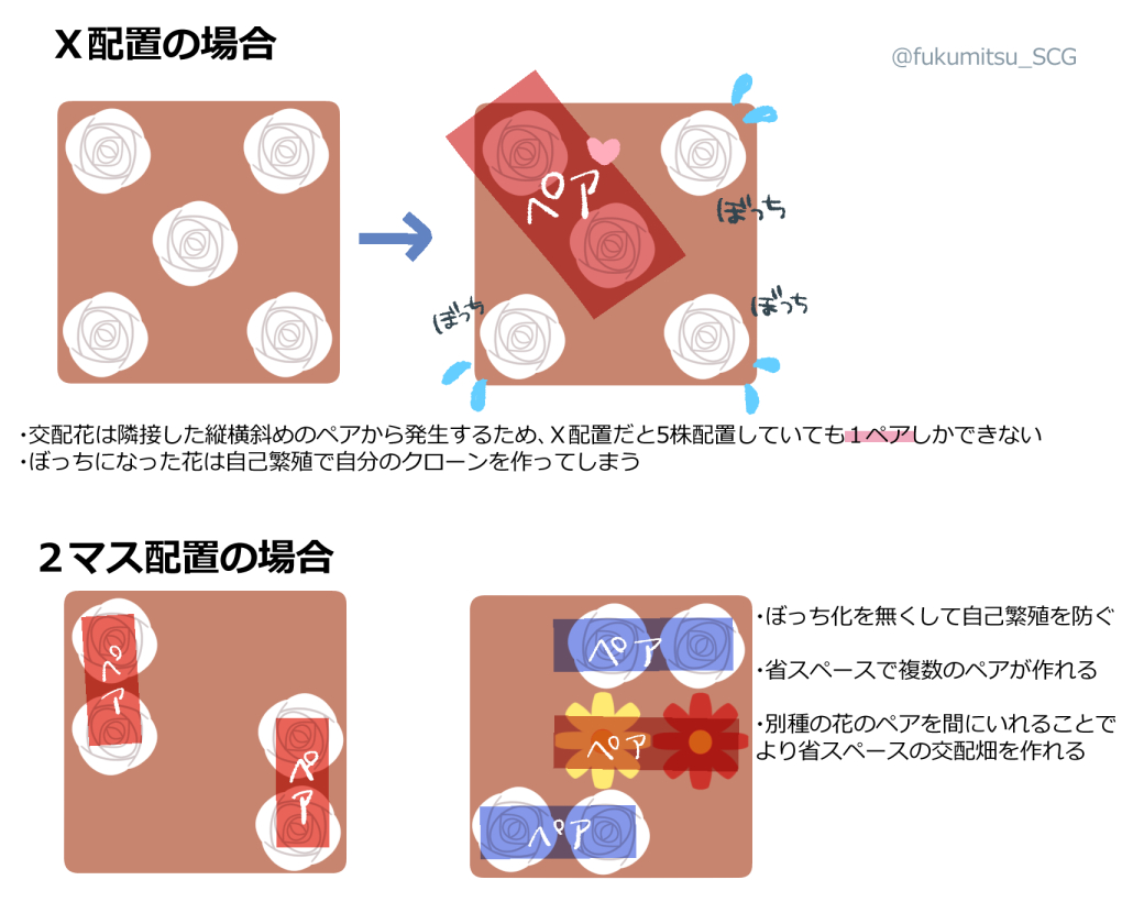 あつ 森 交配 配置