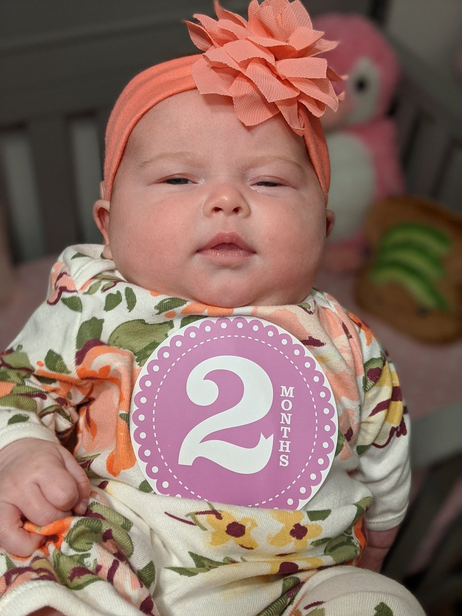 2 months old! 💗

#scarlettannhall #8weeksold #eightweeksold #eightweeks #8weeks #baby #infant #babygirl #2monthsold #twomonthsold #penguin #milestone #babyupdate #firsttimemom #61daysold