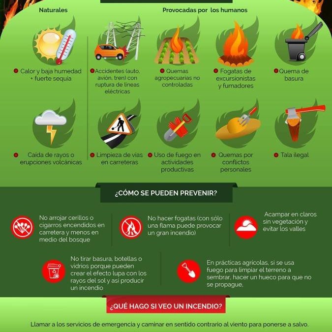 IIUNAM's tweet photo. Naturales y provocados por los humanos, las causas de los #IncendiosForestales. ¿Sabes qué hacer? Mira esta #INFOGRAFÍA https://t.co/YeoDiHNWce