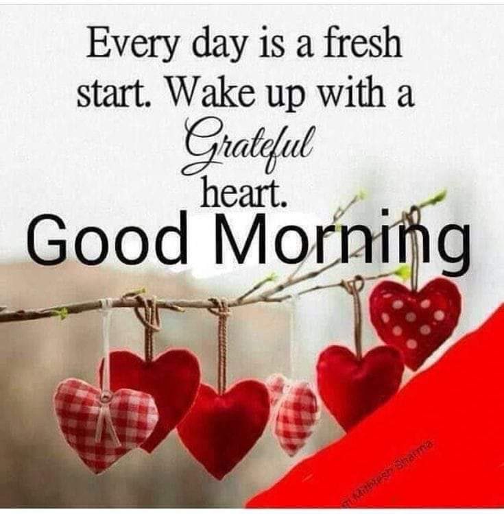 Uroojsayyami's tweet photo. #goodmorning #beautifulworld #PrayersForCoronaFreeWorld #PrayersforKabul @Ali_F_Alizada @pontecorvoste @DanyalGilani @DrJavariaPHTF @ammaradurrani @a_siab @OsmanSaifullahK @Malik_Sohale @DrTajikSohail @DigIslamabad @ICT_Police @hamzashafqaat https://t.co/t0ELsZ79gv