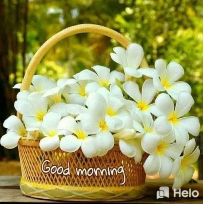 Uroojsayyami's tweet photo. #goodmorning #beautifulworld #PrayersForCoronaFreeWorld #PrayersforKabul @Ali_F_Alizada @pontecorvoste @DanyalGilani @DrJavariaPHTF @ammaradurrani @a_siab @OsmanSaifullahK @Malik_Sohale @DrTajikSohail @DigIslamabad @ICT_Police @hamzashafqaat https://t.co/t0ELsZ79gv