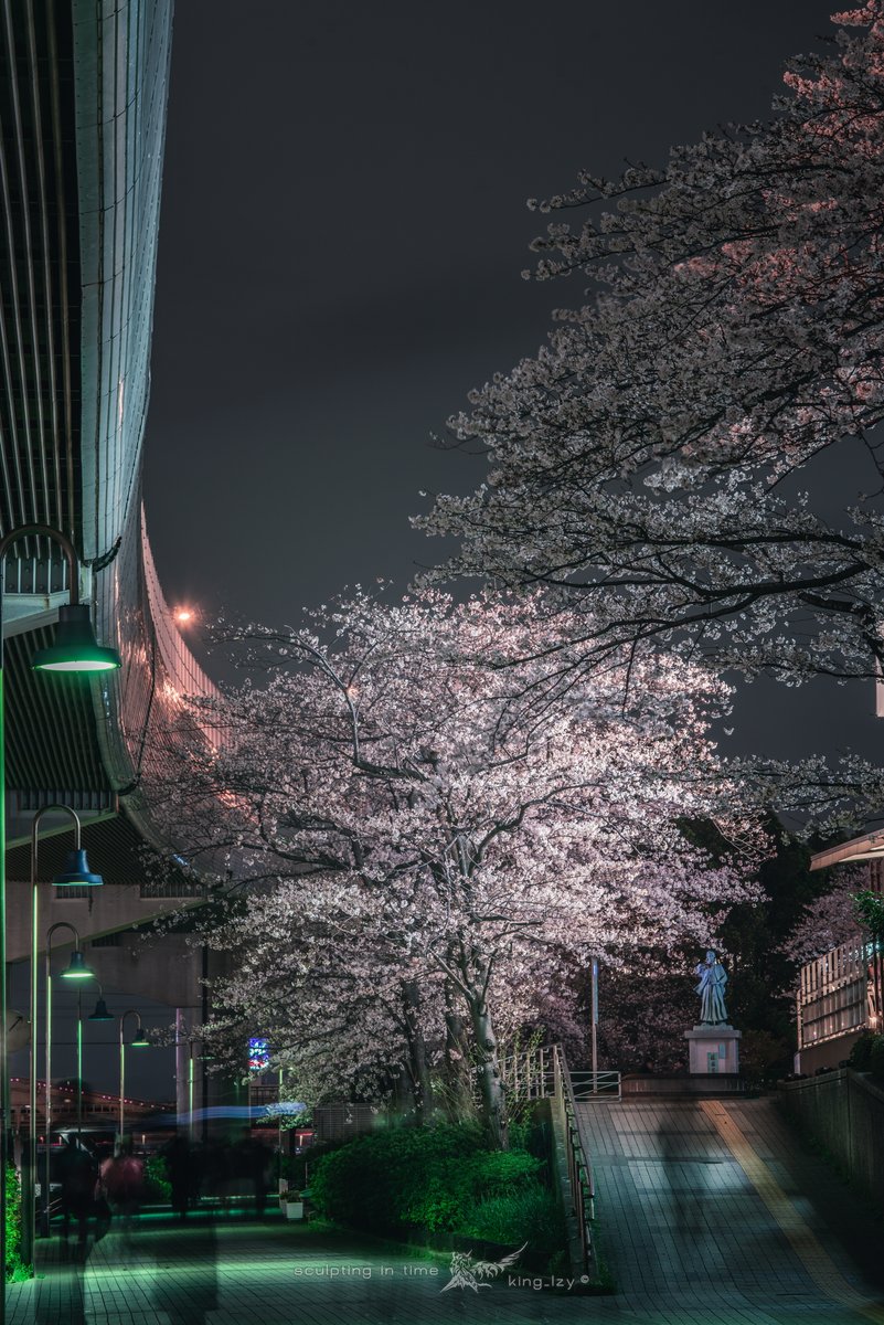 king_lzy's tweet photo. #snap #tokyo #japan #下町 #桜 https://t.co/fQFA2vFj1Q