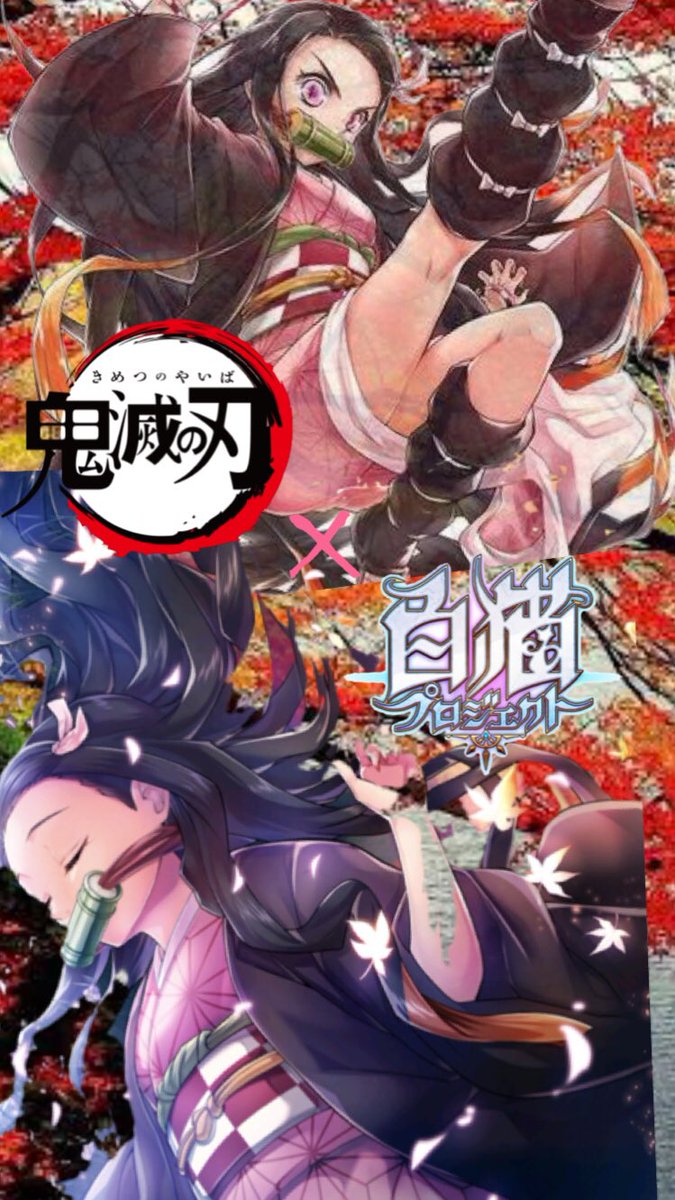 50 白猫 レイチェル 壁紙 Hd壁紙画像のベストセレクションqhd 50 白猫 レイチェル 壁紙 Hd壁紙画像のベストセレクションqhd