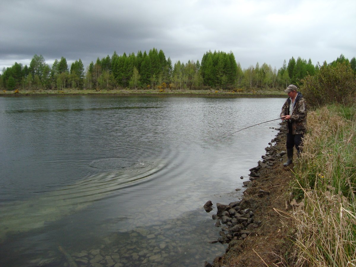 EasternFishGame's tweet photo. Timberlands are opening recreational access to Kaingaroa and Rotoehu Forests, and through Waimangu Forest for access to Lake Rotomahana, from 23 May. Access is on weekends only and by permit only. Go to this page for permits: https://t.co/O2xVKOlE3z https://t.co/EZeCvn3Ku4