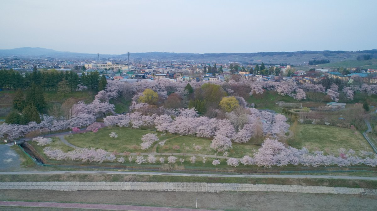 yukitomanager's tweet photo. ☆東公園の桜 対岸・空撮・岩木山と共演☆
東公園さくら山! 対岸、空、岩木山との共演はどうですか(*´ω`*)?
青森県黒石市にあり、約650本の桜、巨大なポプラの木、都市公園として整備されジョギングコースもあります!
#黒石市 #東公園さくら山 #東公園 #PHANTOM4ADVANCED
※各所許可済 https://t.co/0azla5di6u