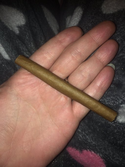 Blunts to the face and anime. Yes please 🤘 https://t.co/h4O6tvWFQx<a href="/tag/mvsales"class="tags"><span>#mvsales</span></a><a href="/tag/mvtrans"class="tags"><span>#mvtrans</span></a>