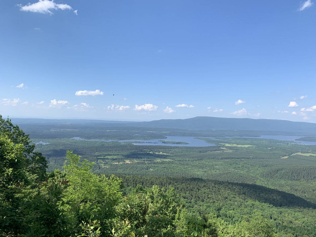 RHIGRFX's tweet image. Greetings from Arkansas.  @theNSLS  I'm all Blue! #TeamThink #TeamAccept  Thankful for the nomination and looking forward... It's an endless horizon out there and the world is ours to own! Keyword #Value #theNSLS