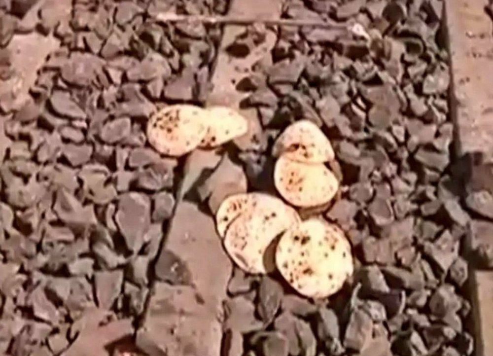 hope_ssd's tweet photo. @sudhirchaudhary B4 asking poor abt having money for liqueur & not ticket - ask your soul, "Are you alive?"
V a nation dreaming of $5 trillion economy cdnt feed d poor & pay fr their tickets?
Look at d leftovers of the migrant workers.
#BikauMedia
#PMCaresFund_घोटाला #PMcaresNOT https://t.co/L4PtTKS5fQ