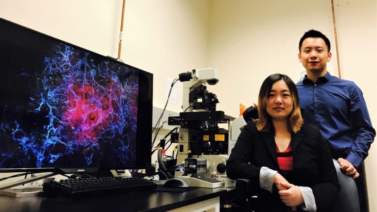 ResourceAnti's tweet photo. (UCI Stem Cell Therapy attacks Cancer by Targeting Unique Tissue Stiffness) https://t.co/04Vhwcnx2F #MedicalReports #Research #StemCell #StemCellTherapy #StemCellTherapyforCancer https://t.co/xJzE0wjlR4