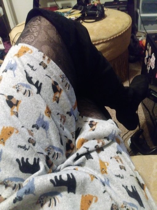 I love these boots x3 they're so comfy and warm https://t.co/RosliUpxFE<a href="/tag/booty"class="tags"><span>#booty</span></a><a href="/tag/thighs"class="tags"><span>#thighs</span></a><a href="/tag/naked"class="tags"><span>#naked</span></a><a href="/tag/pp"class="tags"><span>#pp</span></a><a href="/tag/nsfw"class="tags"><span>#nsfw</span></a><a href="/tag/buttplug"class="tags"><span>#buttplug</span></a><a href="/tag/cum"class="tags"><span>#cum</span></a>