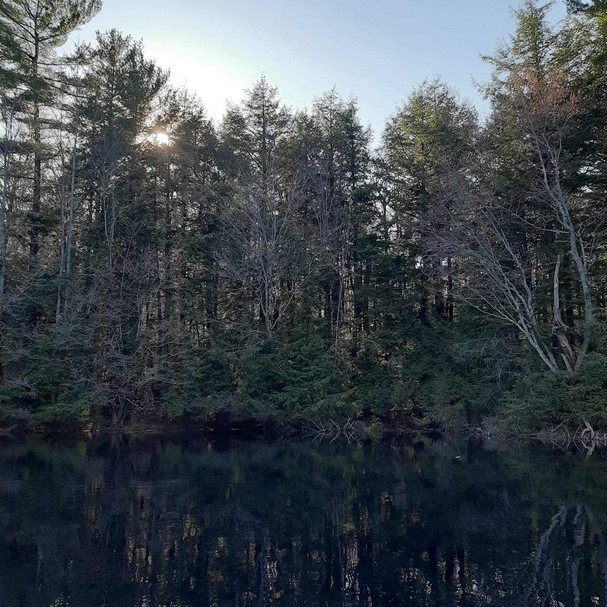 EAVGuchte's tweet photo. We breathed in a little extra quiet today. Because life...
#gratefulandblessed #PeaceInItAll https://t.co/0WJrUNw8x9