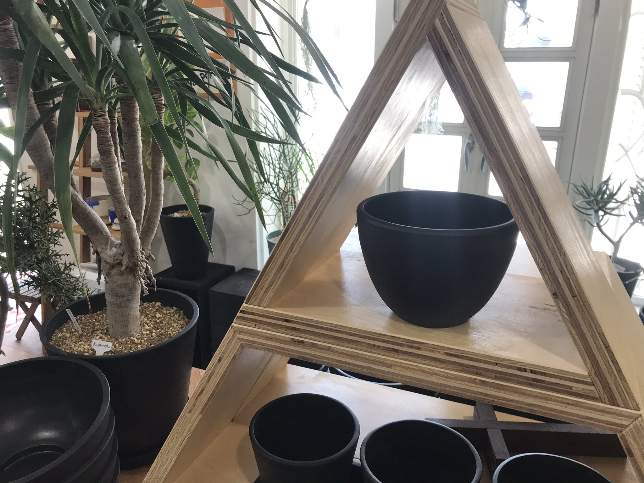 Clutch Furniture 入荷待ちサイズの黒プラ鉢が小さなサイズから大きなサイズまでいろいろ再入荷しました ネットショッピングからも購入可能 Clutchfurniture クラッチファニチャー Kobe 神戸市西区 植木鉢 植え替え 黒鉢 黒皿 黒プラ鉢 黒プラ
