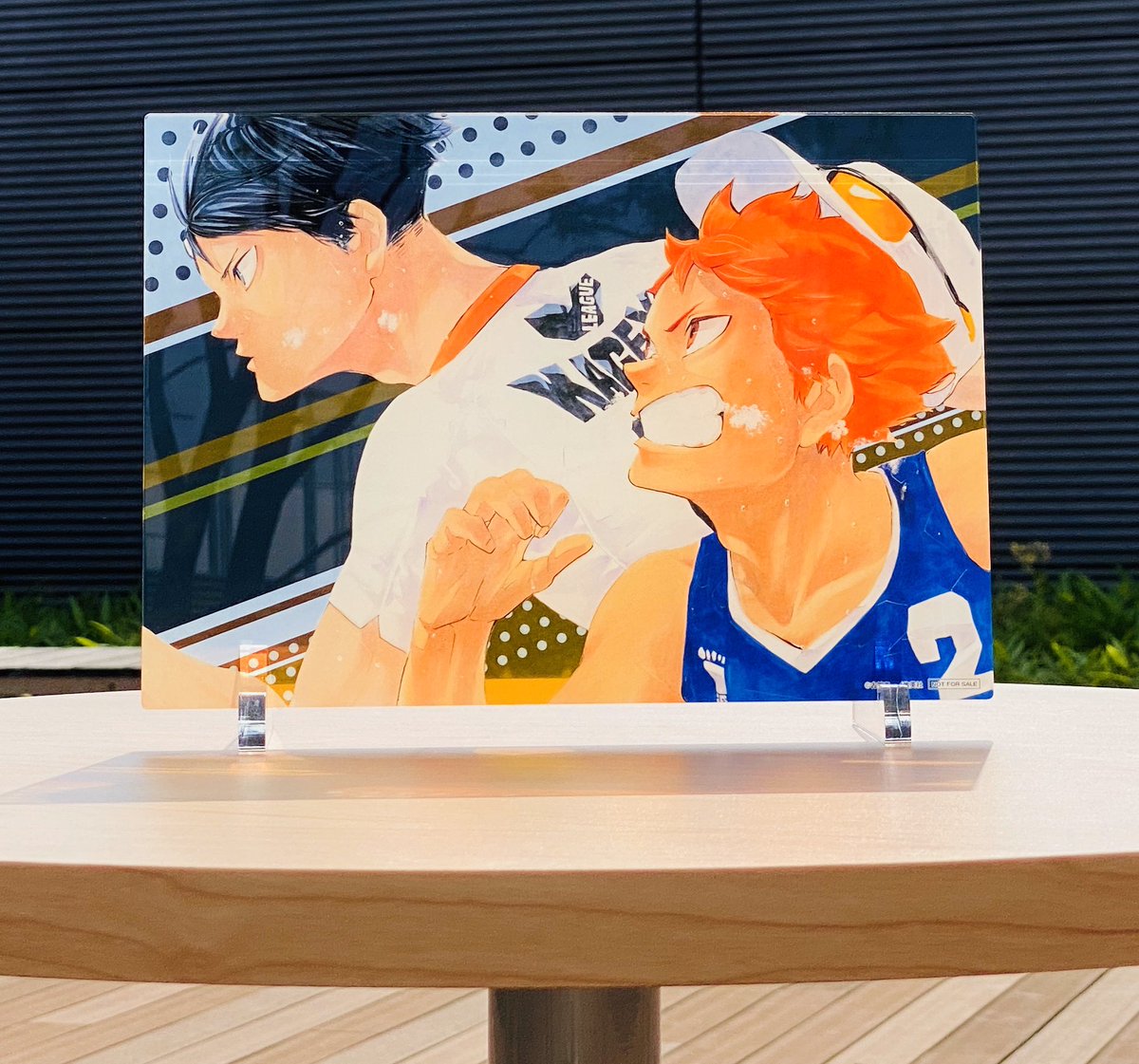 ゼブラック 限定‼️ 『＃ハイキュー‼』43巻 発売記念企画