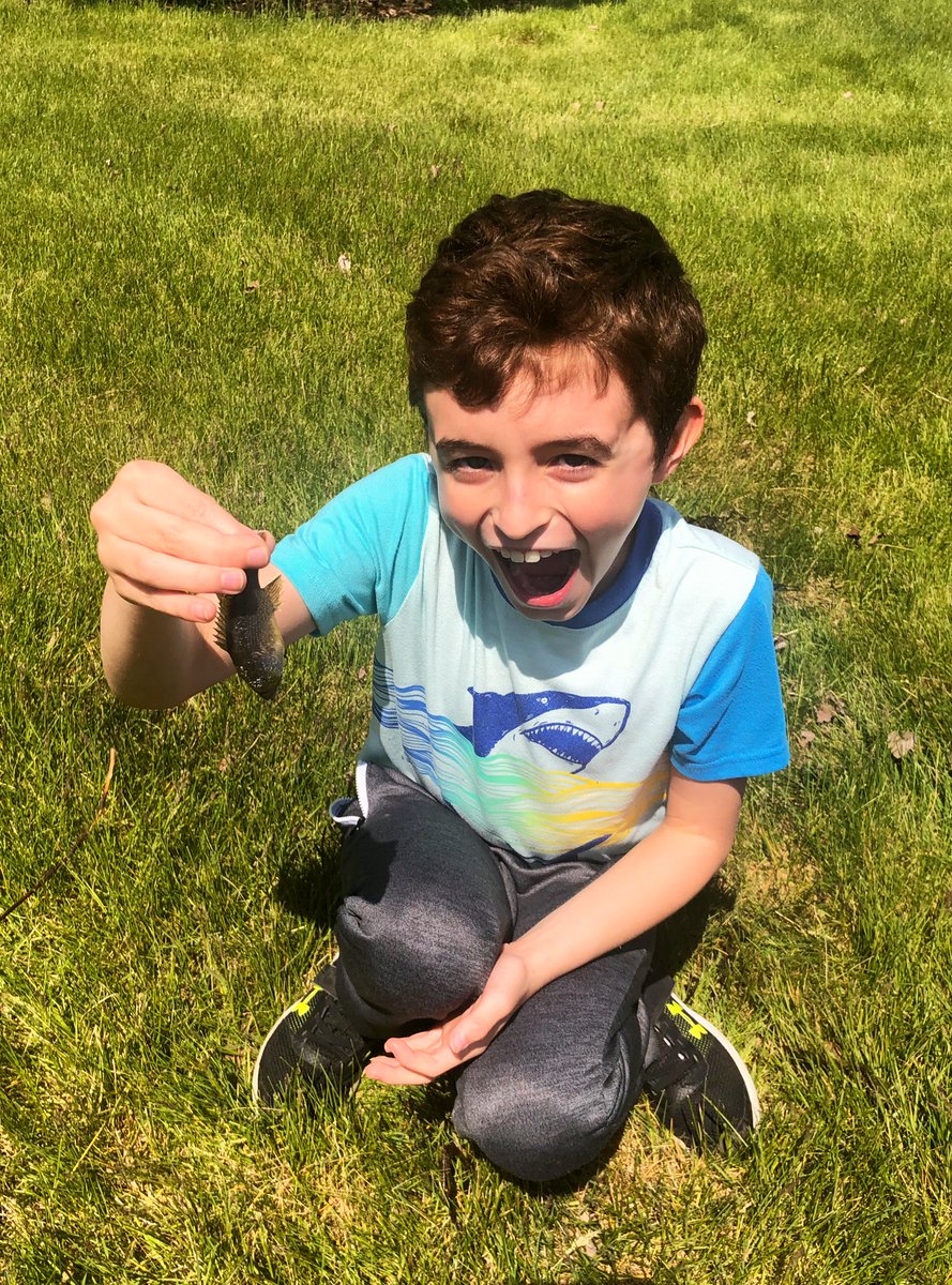 MrsSmithNat's tweet photo. Upgraded our frogging net and the new one is apparently a turtling net & fishing net too! πΈπ’π #thankgoodnessforspring https://t.co/pXT8JHHc4s